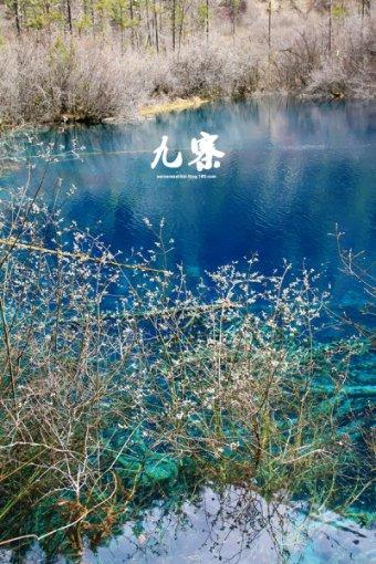 怎么化简的-专业有问必答平台